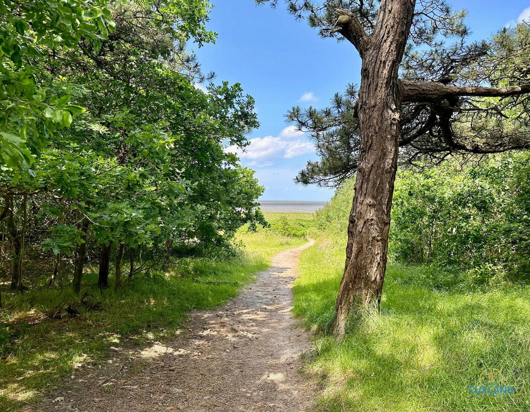 Auszeit Am Wernerwald Im Haus Frauenpreiss Apartment Cuxhaven Ngoại thất bức ảnh